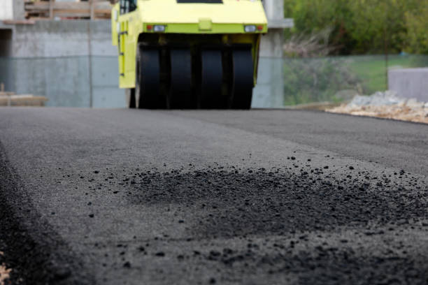 Best Decorative Driveway Pavers  in Edenton, NC