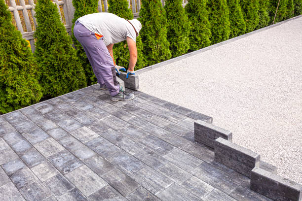 Best Local Driveway Pavers  in Edenton, NC